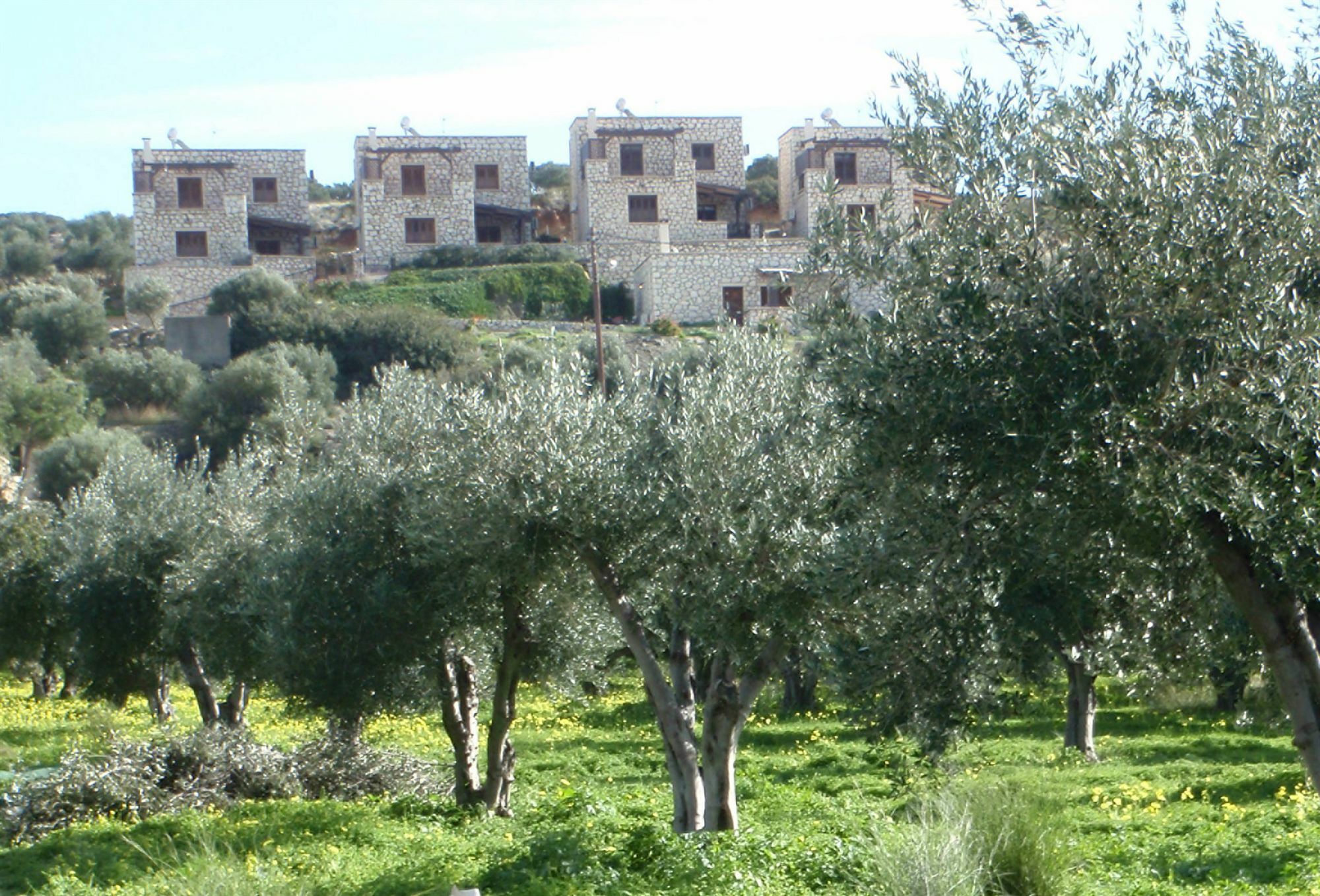 Ville Du Soleil - Exclusive Homes With Rustic Charm And Sensational Views Of The Mediterranean Sea Makrýgialos 外观 照片