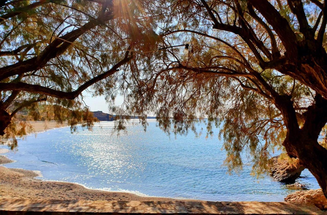 Ville Du Soleil - Exclusive Homes With Rustic Charm And Sensational Views Of The Mediterranean Sea Makrýgialos 外观 照片
