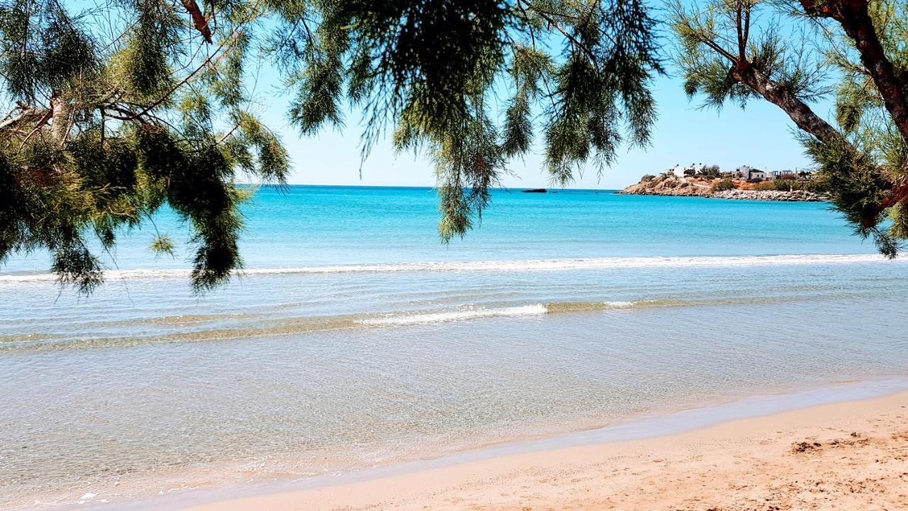 Ville Du Soleil - Exclusive Homes With Rustic Charm And Sensational Views Of The Mediterranean Sea Makrýgialos 外观 照片